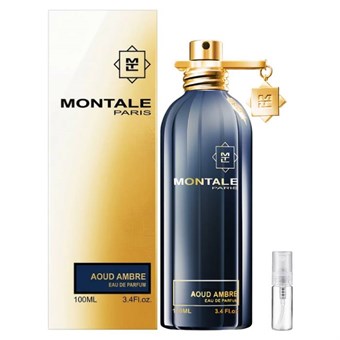 Montale Paris Aoud Ambre - Eau de Parfum - Perfume sample - 2 ml